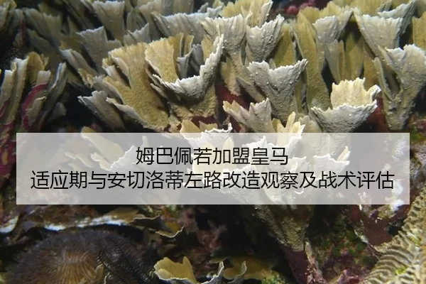 mu-ba-pei-ruo-jia-meng-huang-ma-shi-ying-qi-yu-an-qie-luo-di-zuo-lu-gai-zao-guan-cha-ji-zhan-shu-ping-gu-2-883.jpg